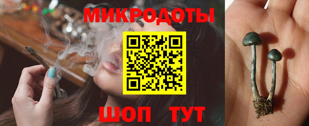 Галлюциногенные грибы GOLDEN TEACHER  Псилоцибиновые грибы Psilocybe  Вход с VPN  Волгодонск 