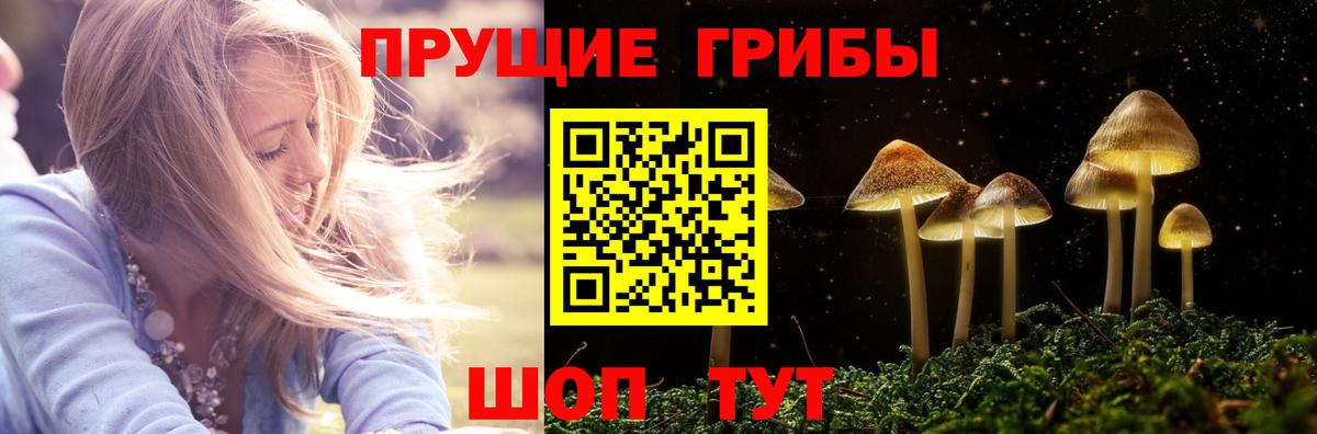 Псилоцибиновые грибы ЛСД Волгодонск