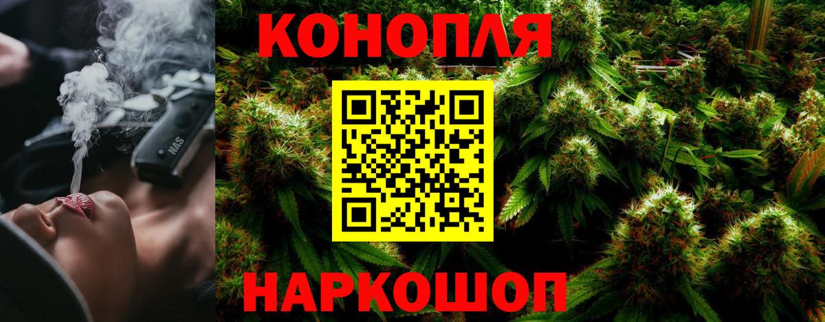 Каннабис планчик  Бошки Шишки MAZAR  Вход с VPN  Бошки Шишки сатива  Канабис сатива  Волгодонск 